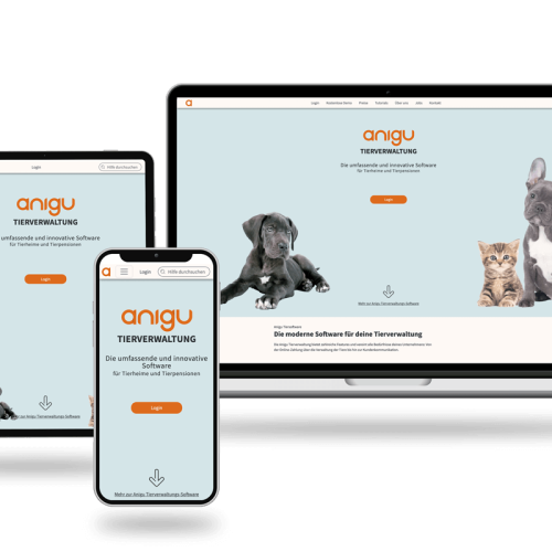 Webdesign Anigu